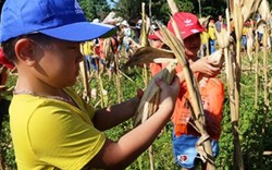 Đưa trẻ em thành phố về các xã nông thôn mới học làm... nông dân