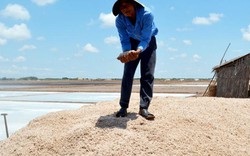 Bạc Liêu: Diêm dân ngơ ngác vì giá muối bỗng.... tăng 1.250 đ/kg