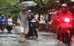 Ảnh: Người Hà Nội sung sướng đi dưới "mưa vàng"
