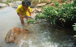 Ảnh: Trẻ vùng cao xứ Thanh tranh thủ nghỉ hè đi hái măng, săn cá