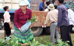 Huyện tinh giản ban bệ, nông dân giảm nghèo nhanh