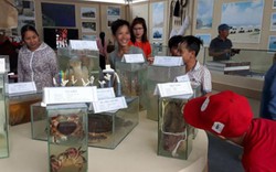 Quảng Nam: Triển lãm “Di sản Văn hóa biển, đảo Việt Nam” về Hoàng Sa, Trường Sa
