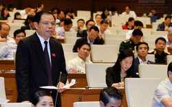 Sáng nay: Bộ trưởng Nguyễn Xuân Cường trả lời chất vấn 3 cụm vấn đề