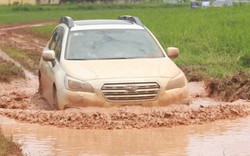 Offroad ngay giữa Sài Gòn với xe Subaru