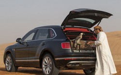 Bentley Bentayga Falconry: Cho nhà giàu sành chơi chim