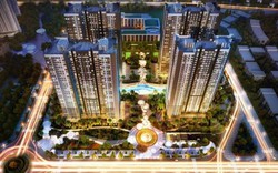 Ra mắt căn hộ dịch vụ cho thuê đẳng cấp Park 12 - Park Hill PREMIUM