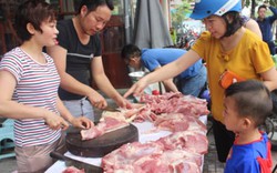 Hội chung tay “giải cứu” người nuôi lợn