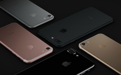 iPhone 7 và iPhone 7 Plus bán “chạy” nhất nước Mỹ trong quý 1