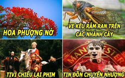 HẬU TRƯỜNG (16.6): Tin đồn chuyển nhượng của M.U là “đặc sản mùa hè”