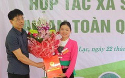 Cô gái Mường xinh xắn và hành trình nhọc nhằn "đánh thức" rau hữu cơ