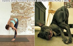 Tag đứa bạn thích tập yoga của bạn vào đây