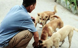 Xuyên đêm dẫn đàn "chó thầy" đi săn thú rừng trái phép ở Hoành Sơn