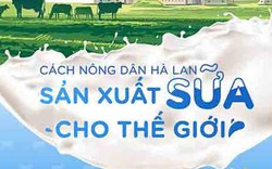 Cách nông dân Hà Lan sản xuất sữa cho thế giới