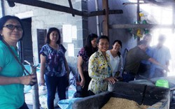 Hỗ trợ đồng bào Khmer sản xuất, tiêu thụ đường thốt nốt