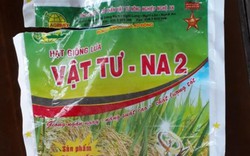 Hà Tĩnh: Lúa VTNA2 nẩy mầm không đều do... lỗi của dân?