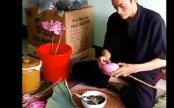 Hướng dẫn cách ướp trà sen tao nhã của người Hà Nội