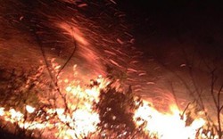 Lửa bốc cháy dữ dội tại rừng thông 30 tuổi ở Thanh Hóa