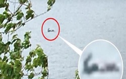 Phát hiện “quái vật hồ Loch Ness” di chuyển nhanh, xuôi dòng nước?