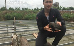 Kỳ công nuôi "đàn ngậm miệng nhả ngọc" , trai làng 9X thu tiền tỷ