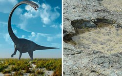 Scotland: Dấu vết khủng long quái vật tồn tại cách 170 triệu năm