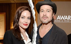 Brad Pitt và Angelina Jolie chính thức ly hôn sau gần 2 năm tranh chấp
