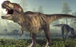 Đây mới là nguyên nhân khiến loài khủng long tuyệt chủng?