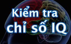 Kiểm tra khả năng tư duy, đánh giá chỉ số IQ của bạn bằng 6 câu hỏi sau