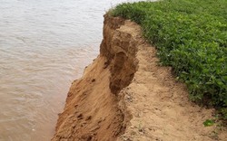 Bình Định: Khai thác cát "ngoạm" bờ sông, nhà nông khốn đốn