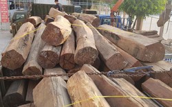Cần Thơ: Tạm giữ số lượng gỗ căm xe chưa rõ nguồn gốc