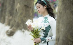 HH Đỗ Mỹ Linh đẹp "đốn tim" trên phố Hà Nội tháng 4 mùa hoa loa kèn