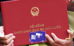 Nếu rà soát công trình khoa học, số ứng viên giáo sư bị loại có thể cao hơn