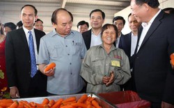 Thủ tướng kêu gọi “6 nhà” tham gia sản xuất, tiêu thụ nông sản