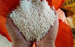 Bị Trung Quốc ép giá, gạo nếp xuất khẩu lại giảm mạnh còn 5.400đ/kg
