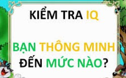 Trắc nghiệm IQ kiểm tra chỉ số thông minh của bạn