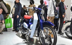 Honda Super Cub C125 sắp về Việt Nam, giá 150 triệu đồng?