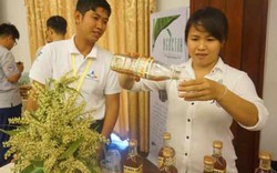 Không phải cứ mở công ty mới là... khởi nghiệp