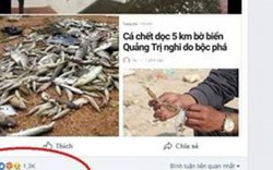 Bấm nút "share facebook" vô tội vạ, làm hại ngư dân