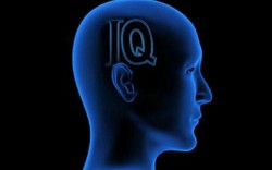 Thiên tài cũng dễ bị làm khó trước bài test IQ này