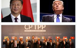 Mỹ quay lại CPTPP: Sám hối hay chiêu trò chính trị?
