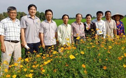 Chùm ảnh: Ruộng lúa, bờ hoa đua nở nhờ làm sạch rác bảo vệ thực vật