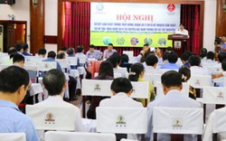 Bộ NNPTNT chỉ đạo trồng lúa siêu ngắn ngày ở miền Trung, Tây Nguyên
