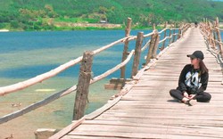 Ghé Phú Yên đừng quên trải nghiệm trên cây cầu gỗ dài nhất Việt Nam