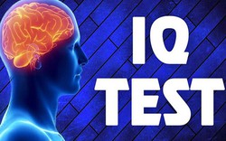 Vượt qua bài test IQ này, chứng tỏ bạn là người đặc biệt thông minh