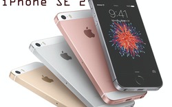 CHÍNH THỨC: iPhone SE 2 đã đạt chứng nhận, sẵn sàng ra mắt