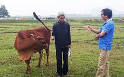 Tin mới: Thanh Hóa yêu cầu trả lại tiền thu phí trâu bò trước 30.4