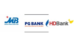 “Đoạn duyên” với Vietinbank, PGBank tính “hợp duyên” với HDBank của tỷ phú Nguyễn Thị Phương Thảo?