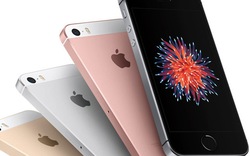 iPhone SE 2 ra mắt tháng 5 không kèm jack cắm tai nghe