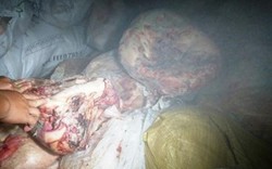 Clip cận cảnh 5 tấn mỡ, da lợn "bẩn" trong kho đông lạnh ở Nghệ An