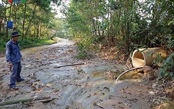 Cá chết trên sông Bồng Miêu: Doanh nghiệp "tham bát bỏ mâm"