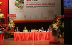 Tháng 8 năm nay sẽ hoàn tất sáp nhập PGBank vào HDBank